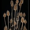 20051021_052